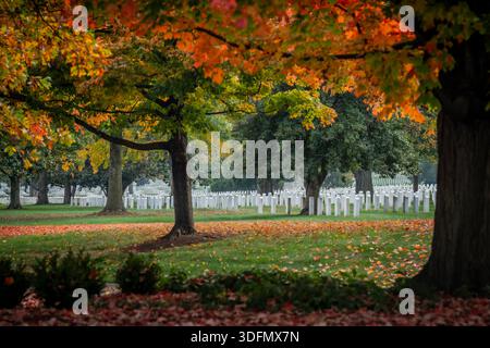 Veduta di file di lapidi bianche in solenne formazione sotto il vibrante baldacchino degli alberi autunnali, foglie sparse per terra, Arlington, V. Foto Stock
