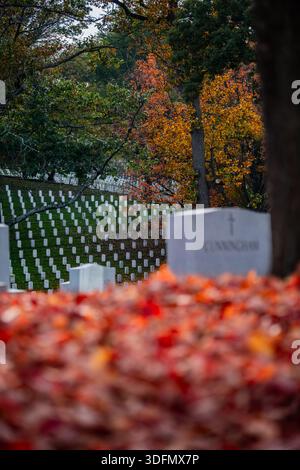 Vista delle solenni lapidi bianche in fila perfette tra il vivace fogliame autunnale, una toccante scena d'onore e di ricordo, Arlington, Virginia Foto Stock