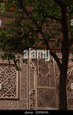 Arancio in un cortile riccamente decorato a Palazzo Bahia, Marrakech, Marocco Foto Stock