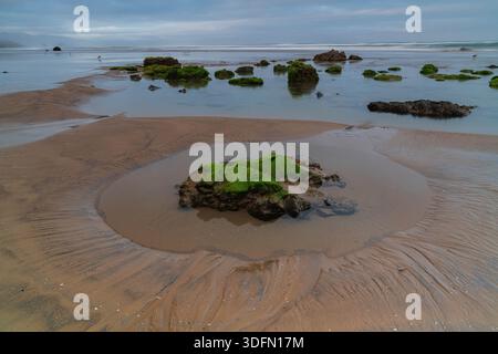 Paesaggio costiero con bassa marea che mostra rocce ricoperte di alghe verdi e modelli di drenaggio dell'acqua nella sabbia sotto un cielo nuvoloso. Foto Stock