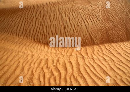 Ripples in the Sand in the Desert Wahiba Sands Sultanato dell'Oman Foto Stock