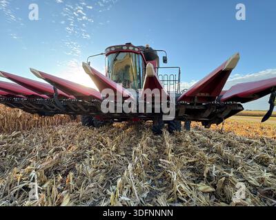 Vita agricola del Minnesota meridionale Foto Stock