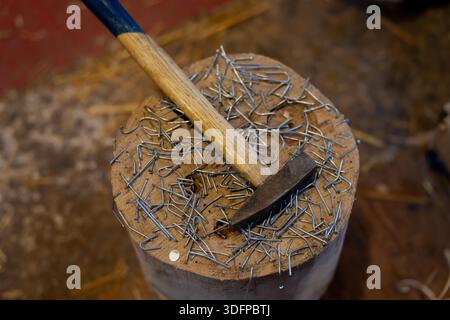 Martello appoggiato su un ceppo di legno ricoperto da chiodi sparsi e dispositivi di fissaggio a filo piegato, piano di lavoro per carpenteria in officina con profondità ridotta di Foto Stock