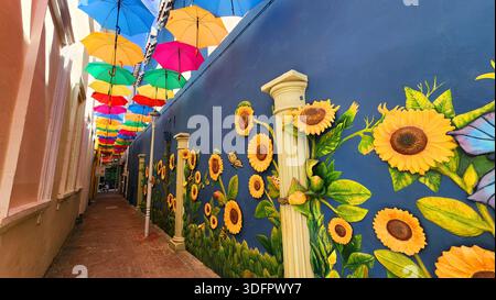 Smallesteeg Umbrella Street Alley Willemstad Curacao, Antille olandesi e Caraibi, patrimonio mondiale dell'UNESCO 01.02.2026 Foto Stock