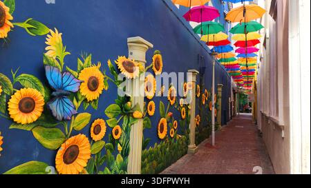 Smallesteeg Umbrella Street Alley Willemstad Curacao, Antille olandesi e Caraibi, patrimonio mondiale dell'UNESCO 01.02.2026 Foto Stock