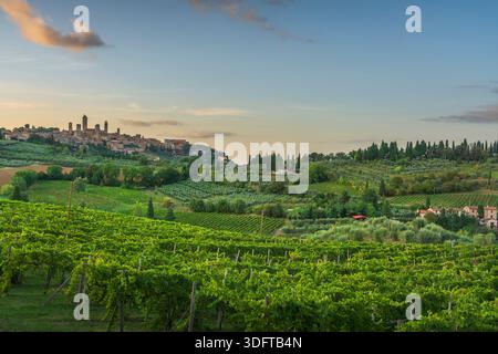Vista panoramica delle torri medievali di San Gimignano al tramonto. Paesaggio panoramico con vigneti e colline ondulate della campagna toscana, Italia Foto Stock