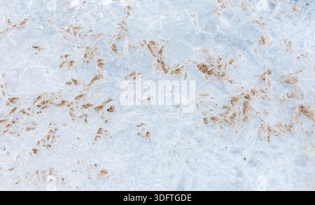 Sottile struttura cristallina di ghiaccio con sabbia, struttura di sfondo naturale, foto macro, vista dall'alto della costa ghiacciata del Mar Baltico in inverno Foto Stock