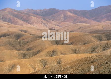 Montagne di elefanti nel semi-deserto, Isole Canarie, Fuerteventura, Pajara Foto Stock