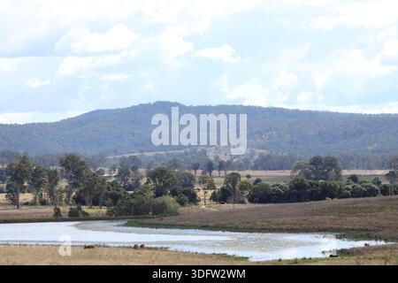 Paesaggio di campagna con una grande diga in primo piano e la catena dei Teviot che si innalza in lontananza, catturando dimensioni, calma e vita rurale australiana Foto Stock