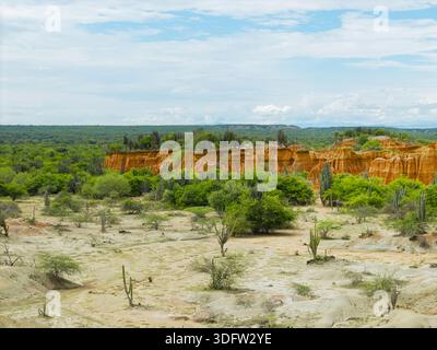 Vista aerea delle spettacolari formazioni rocciose arancioni che sorgono dall'arido paesaggio, contrastando con alberi verdeggianti sotto un vasto cielo, Huila, Huila, Colombia. Foto Stock