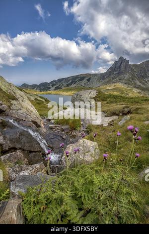 Un bellissimo paesaggio montano con fiori, un lago e una piccola cascata Foto Stock