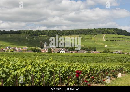 Avize, Francia - 12 giugno 2017: Il piccolo villaggio di Champagne Avize/Oger vicino a Epernay con vigneti e colline in una giornata estiva in Francia Foto Stock