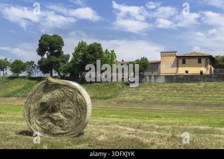 Una balla di fieno in un campo, nella campagna italiana Foto Stock