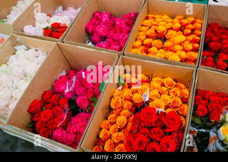 Rose rosse, arancioni, gialle, rosa e altri fiori in scatole di cartone trasporto, stoccaggio in vendita nei negozi di fiori. Foto Stock