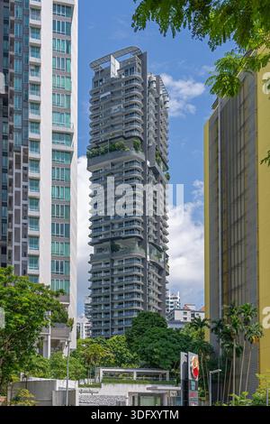Espada condominio, alto edificio residenziale con appartamenti e appartamenti nella River Valley, area centrale nella città di Singapore, Sud-est asiatico Foto Stock