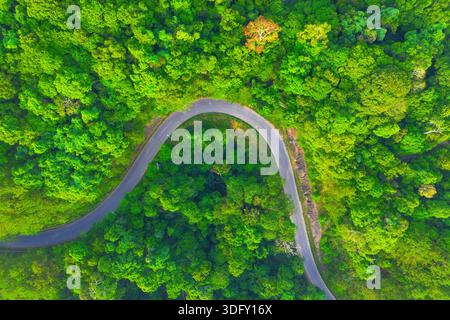 Vista aerea della strada di campagna che passa attraverso la foresta tropicale verde e la montagna. Foto Stock