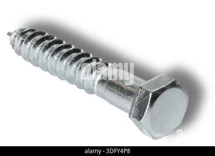 Bullone lag in acciaio inox ad angolo dal lato della testa del bullone in una ripresa in studio con ombra isolata su sfondo bianco. Foto Stock