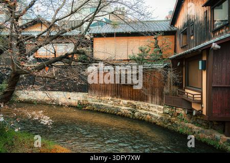 Tradizionali case giapponesi in legno lungo il tranquillo canale di Shirakawa in primavera a Shinbashi dori, Kyoto, Giappone Foto Stock