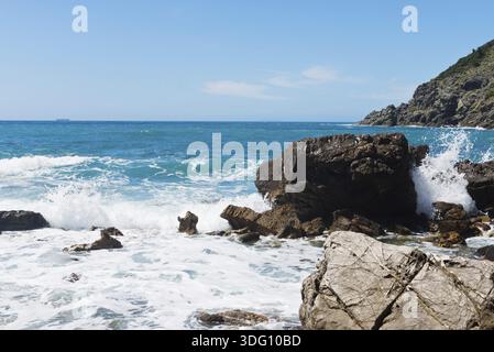 Splendido mare azzurro e la spiaggia rocciosa del Mar Tirreno in Toscana, Italia Foto Stock