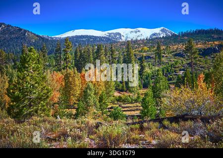 Foresta di montagna innevata e fogliame autunnale nel paesaggio panoramico della California Foto Stock