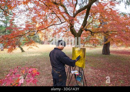 Il Giardino Nazionale Gyoen di Kyoto mette in mostra la vibrante bellezza dell'autunno in Giappone. Un artista cattura l'essenza della stagione, dipingendo in mezzo alle nuance ardenti Foto Stock