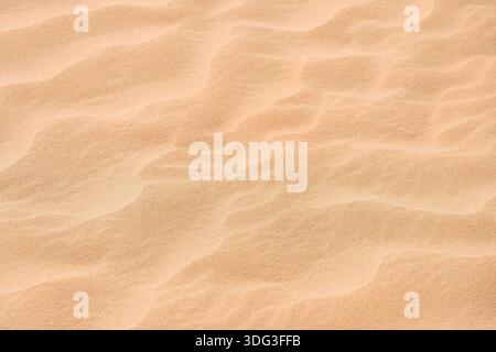 Primo piano di dune di sabbia dorata del deserto che mostrano splendidi motivi naturali e increspature. Un ambiente naturale caldo e tranquillo Foto Stock