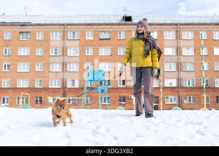 Una donna con un cappotto invernale che cammina una piccola e soffice pomerana arancione (spitz) al guinzaglio in un parco cittadino durante l'inverno. Foto Stock