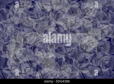 Pittura di sfondo astratto acquerello foglie tropicali illustrazione su carta colore grigio di foglie trasparenti frutta vegetale e bellissimo luminoso su b Foto Stock