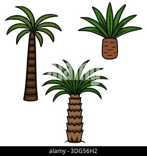 Serie di tre illustrazioni vettoriali di palme stilizzate, isolate su sfondo bianco Illustrazione Vettoriale
