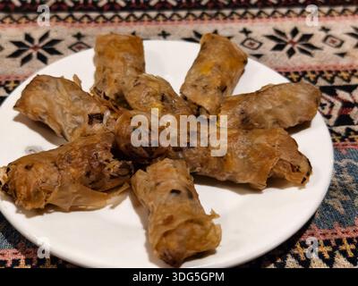 Diversi pezzi di involtini primavera fritti con un ripieno di carne macinata, gamberi e verdure Foto Stock