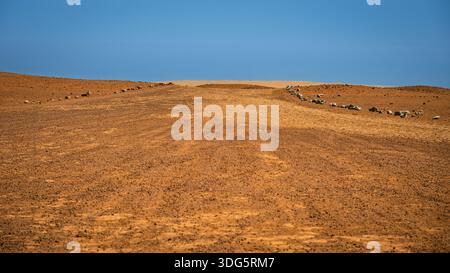 Ampio paesaggio desertico sotto un cielo azzurro luminoso, caratterizzato da terra secca e una linea di rocce che creano un confine naturale all'orizzonte Foto Stock