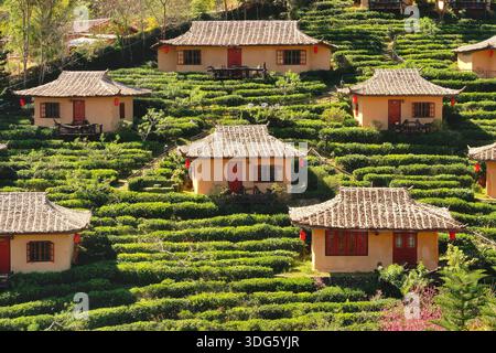 Vista delle tradizionali case cinesi circondate da una piantagione di tè nel villaggio di Ban Rak Thai, Mae Aw, vicino al confine con Myanmar, Mae Hong Son Loop, Thailandia 2023 Foto Stock