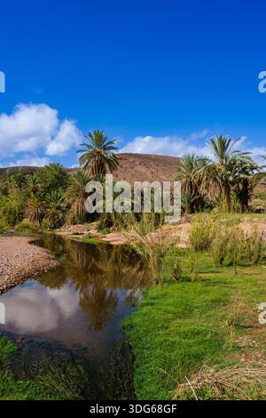 Un'oasi di pace con palme che si riflettono in un fiume calmo sotto un cielo azzurro. Ouarzazate, Marocco Foto Stock