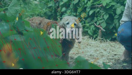 Cane in piedi che sbircia nella paglia del giardino, donna accovacciata con top bianco jeans blu, sovrapposizioni telemetriche Foto Stock