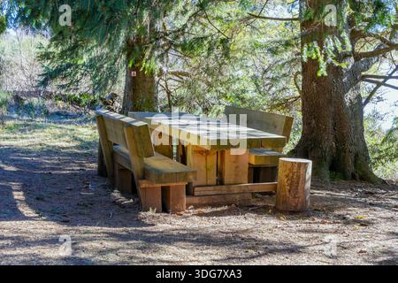 Tavolo da picnic in legno artigianale con panche in legno naturale circondato da alberi sempreverdi in una tranquilla area ricreativa all'aperto Foto Stock