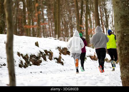 Gruppo che corre su un sentiero della foresta innevata Foto Stock