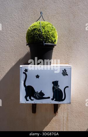 La cassetta postale minimalista montata a parete, decorata con sagome di gatto nere, è sormontata da una pianta rotonda in vaso verde, fotografata alla luce diretta del sole Foto Stock