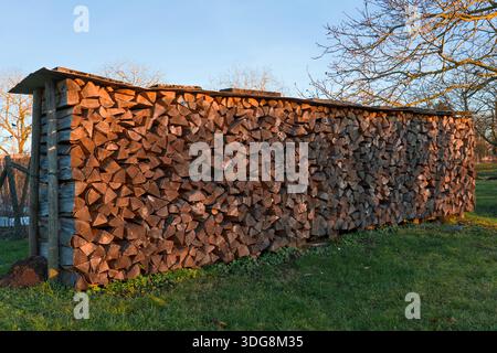 Grande pila di legna da ardere all'aperto su un prato al tramonto. Foto Stock