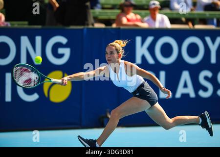 Melbourne, Australia. 14 gennaio 2026. Elizabeth Mandlik (USA) viene vista in azione durante la partita di tennis con Katie Boulter (GBR) al Kooyong Classic Tennis Tournament. Mandlik ha vinto in serie consecutive con un punteggio di 6-4 7-6 Credit: SOPA Images Limited/Alamy Live News Foto Stock