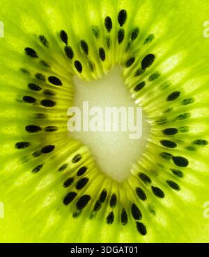 Il Kiwi close up Foto Stock