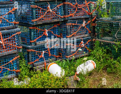 Trappole per aragosta al porto di Little River sulla St Mary's Bay al largo della Bay of Fundy sulla costa sud-occidentale della nuova Scozia in Canada Foto Stock