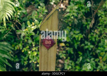 Numero di soccorso codice di posizione marcatore traccia Foto Stock