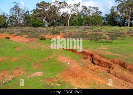 Il Marocco campagna Foto Stock