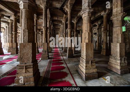 Jama Masjid (Moschea), sala di preghiera con innumerevoli pilastri, Ahmedabad, Gujarat, India, Asia meridionale, Asia Foto Stock