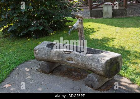 Pozzo rustico in legno con vasca e beccuccio in legno intagliato a mano, in piedi in un giardino rurale erboso in estate. Foto Stock