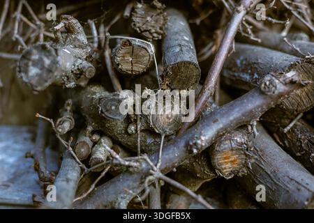 Vista ravvicinata ad angolo alto di una pila rustica di legna da ardere tritata. Tronchi asciutti, bastoncini e rami sono impilati, mostrando la consistenza ruvida della corteccia e. Foto Stock