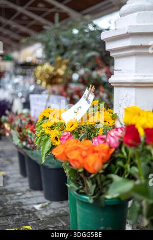 Una vivace mostra di girasoli e rose colorate in secchi in un mercato di fiori di strada. Un cartellino del prezzo viene apposto su un mazzo di girasole. Un concetto di Foto Stock