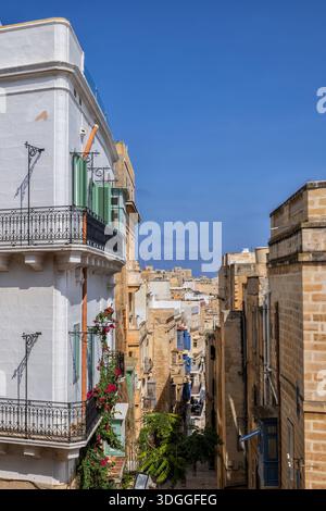 Condomini e case nella città di la Valletta a Malta. Foto Stock