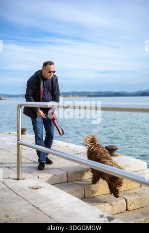 Santander, Spagna – 19 novembre 2021: Un uomo cammina con il suo cane d'acqua spagnolo (Perro de Agua Espanol), una razza nota per il suo caratteristico cappotto cordonato, lungo la W Foto Stock
