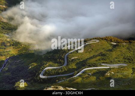 La strada a serpentina si snoda tra verdi colline ricoperte di nebbia, Geirangerfjord, Dalsnibba, Norvegia Foto Stock